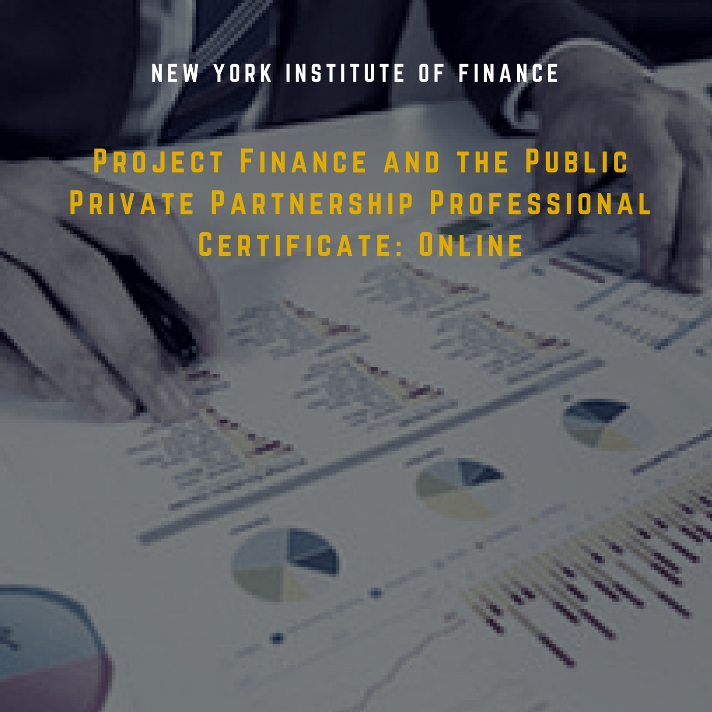 Project Finance and the Public Private Partnership Professional Certificate: Online CRPF0301x