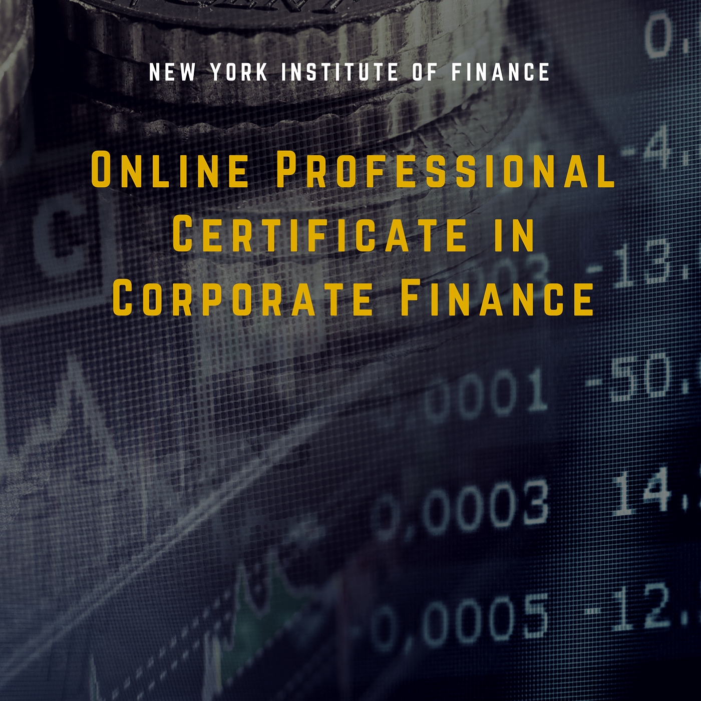 Online Professional Certificate in Corporate Finance EXAM0647x