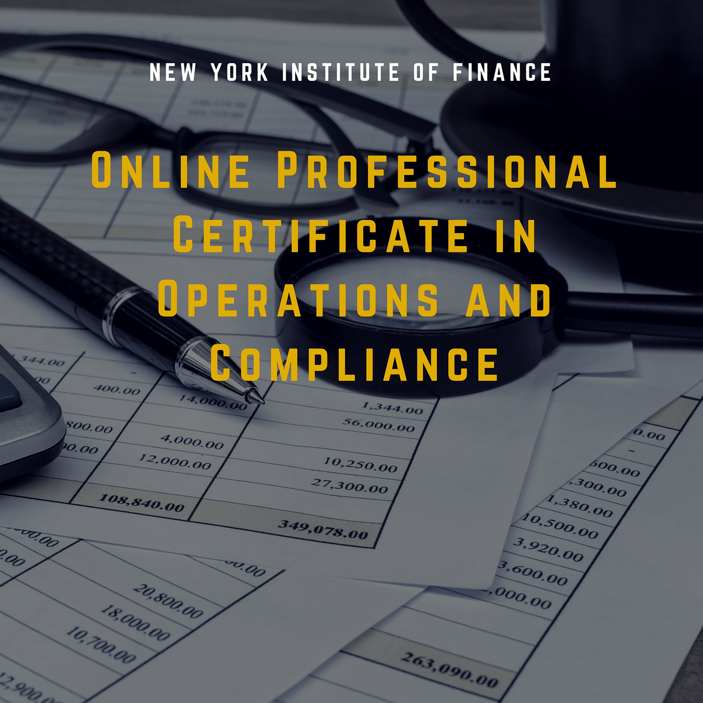 Online Professional Certificate in Operations and Compliance EXAM0656x