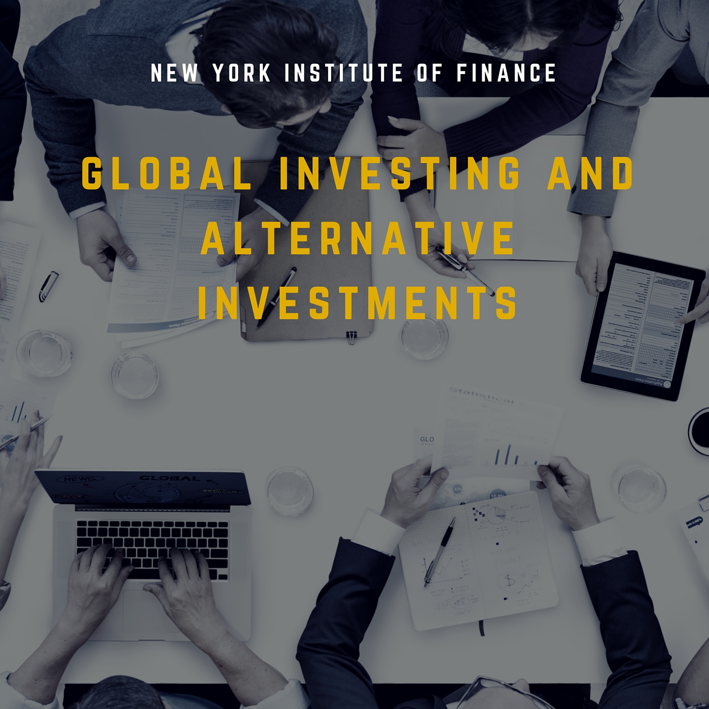 Global Investing and Alternative Investments FIPR0143x
