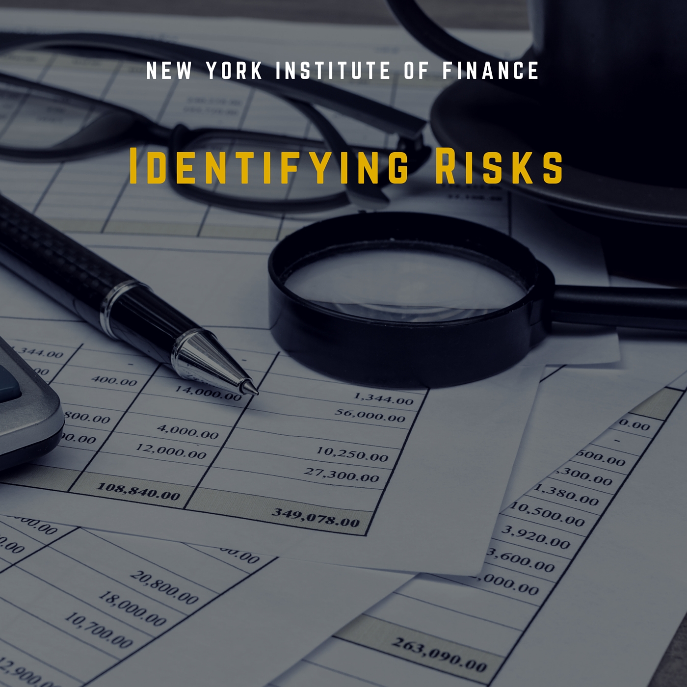 Identifying Risks FIPR0262x