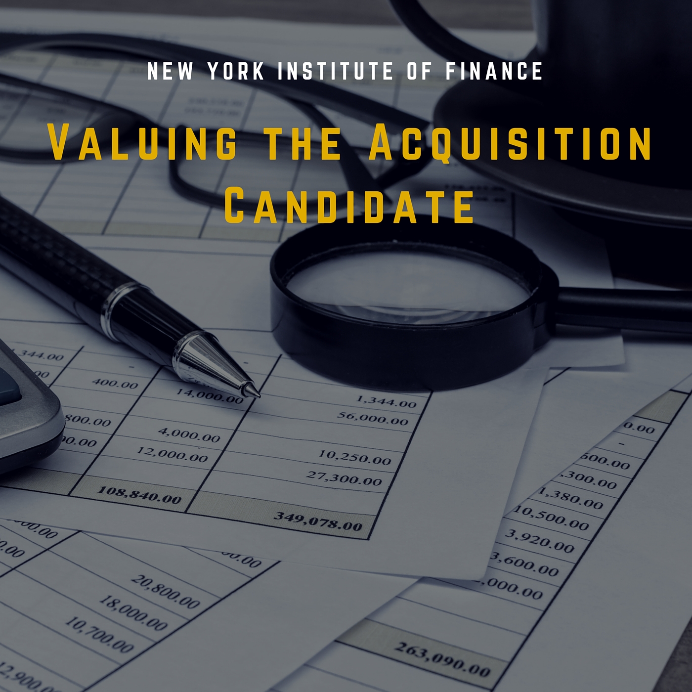 Valuing the Acquisition Candidate MANA1003x