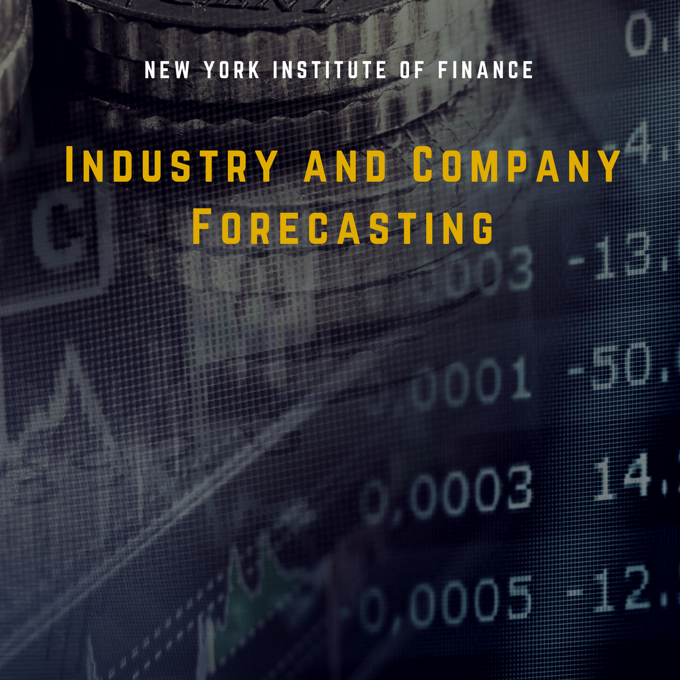 Industry and Company Forecasting  RISK0248x