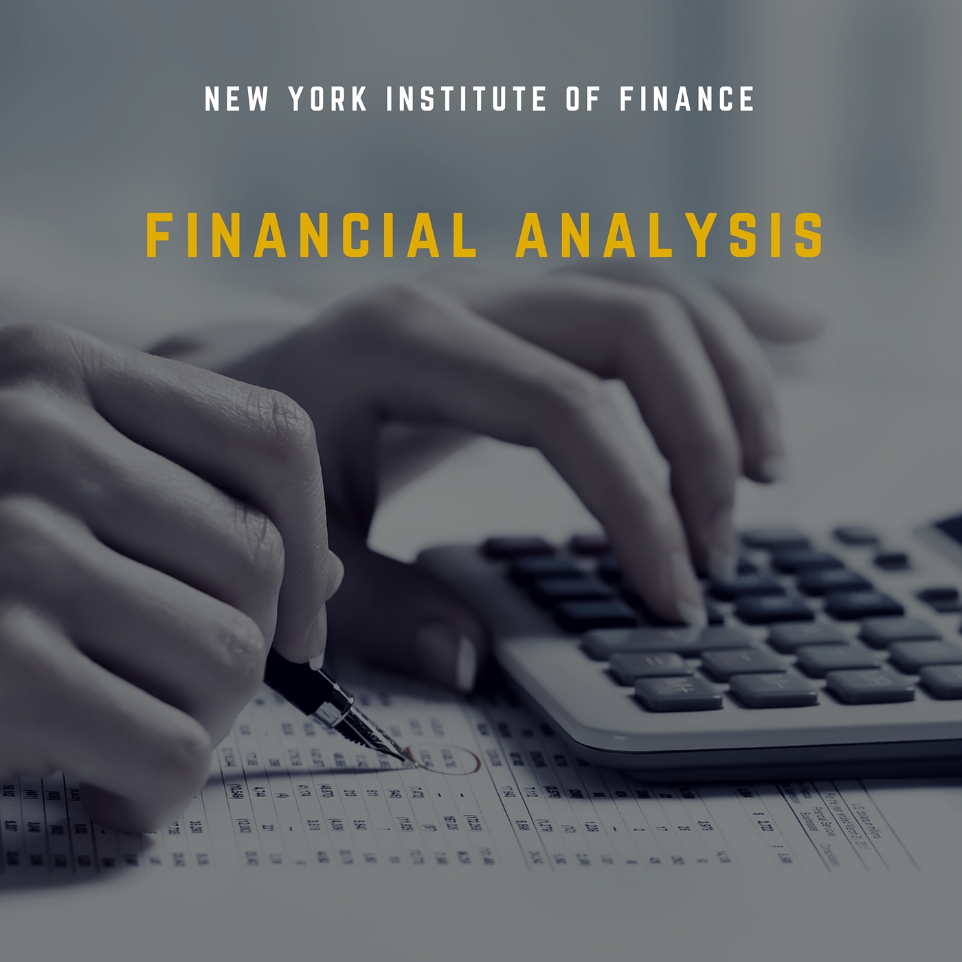 Financial Analysis RISK0249x