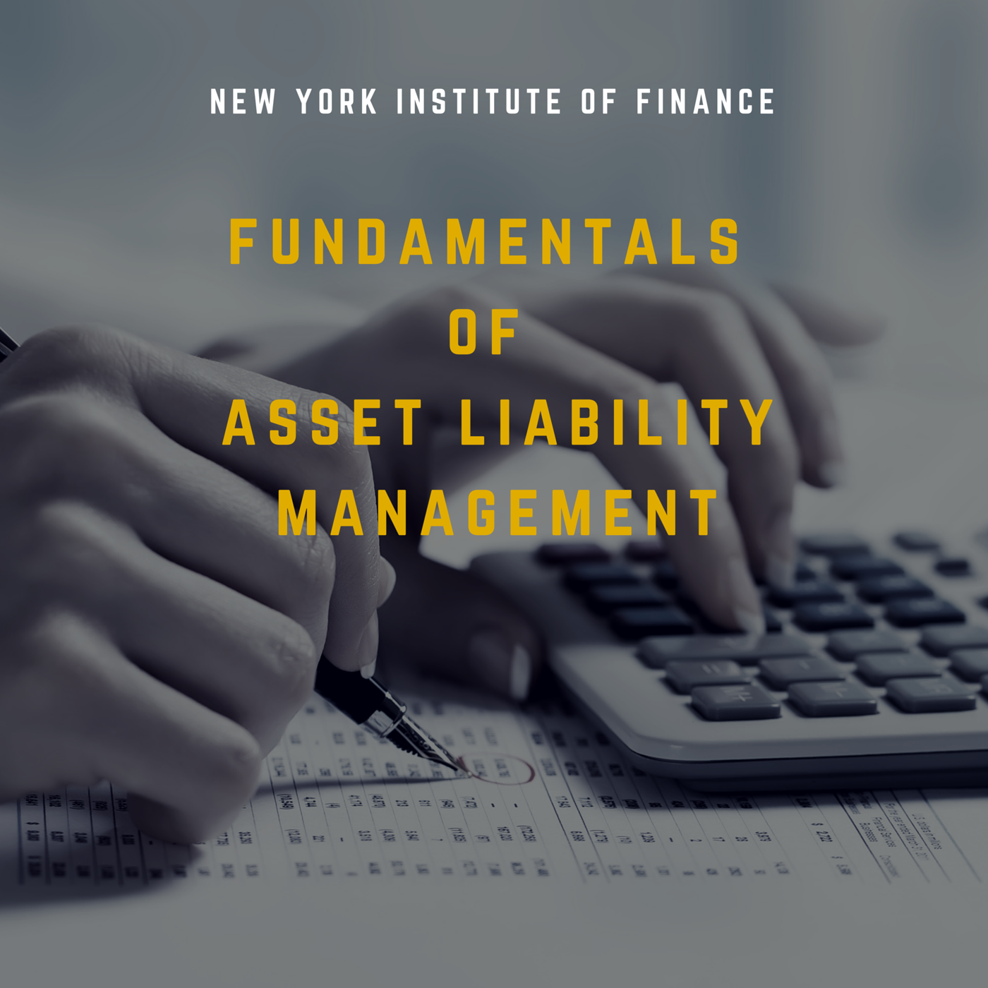 Fundamentals of Asset Liability Management RISK0341x