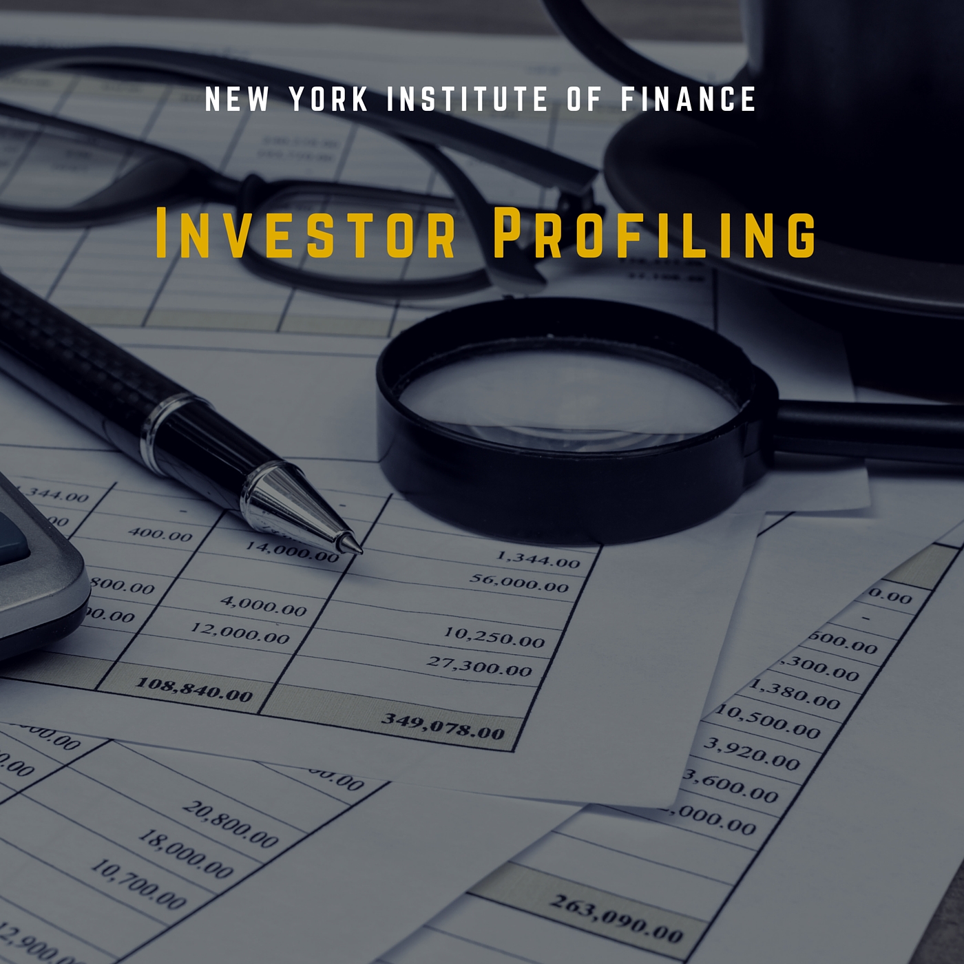 Investor Profiling WLTH1000x